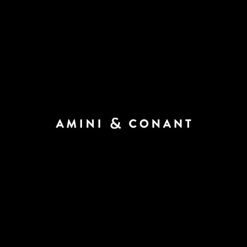 Amini & Conant, LLP Profile Picture