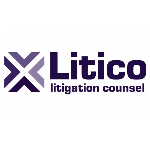 Litico Law Group Profile Picture